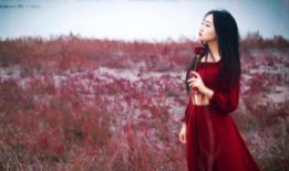 爱情伤感短视频,爱情伤感短视频背后的深情演绎